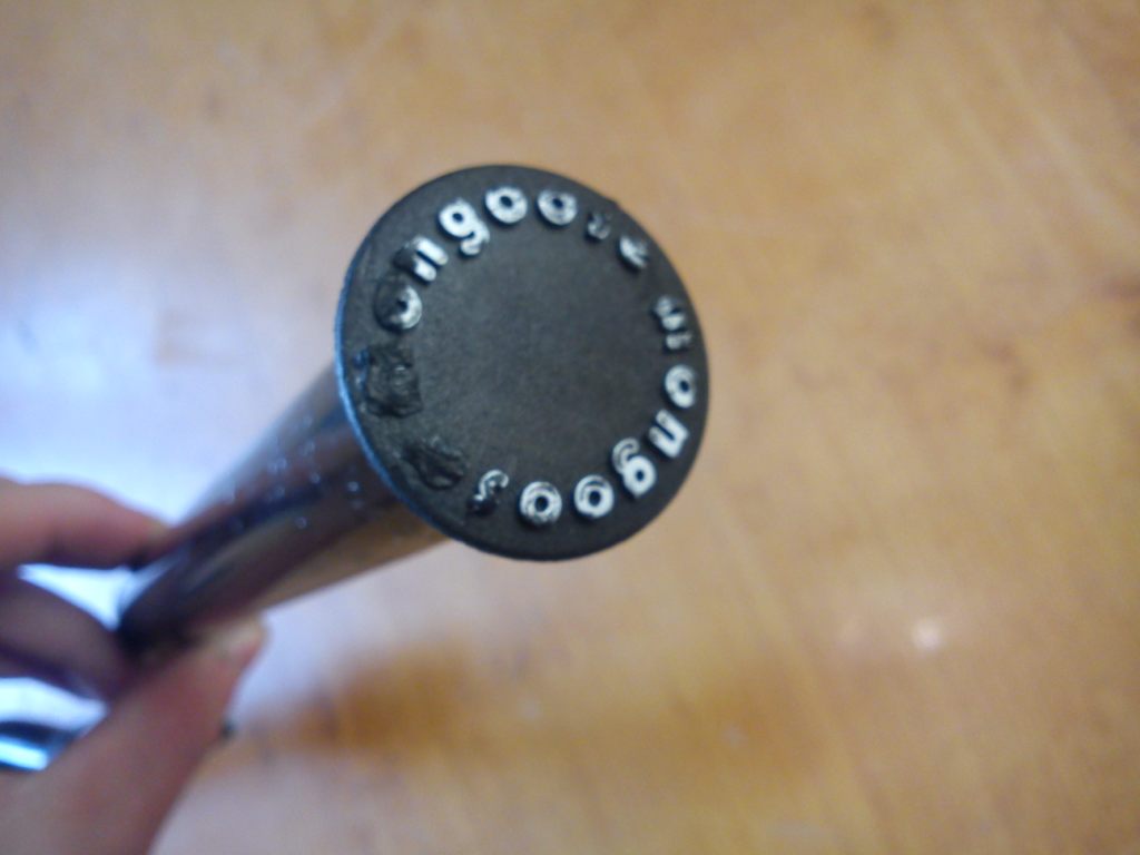 DSC08119.JPG