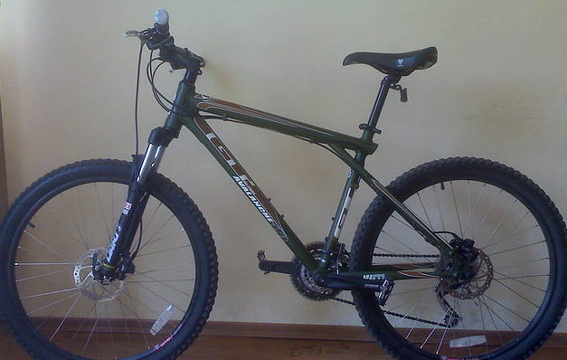 GT avalanche 1.0 (disc) 2009 г..jpg